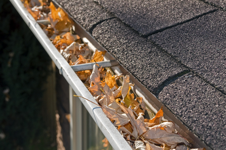 Gutter cleaning prevent roof leaks before hurricane season